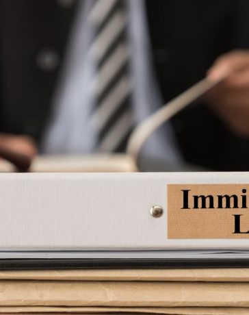Immigration Lawyer