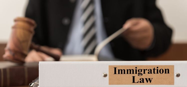 Immigration Lawyer